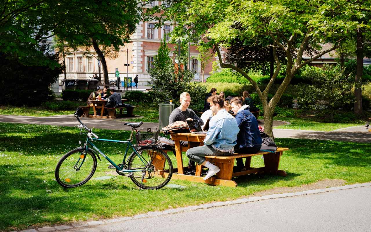The Public Benches Designed to Cure Loneliness